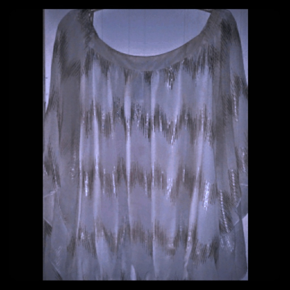 Beautiful silky white and shiny silvergold blouse.